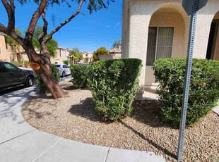 Bush Trimming by Lamont Johnson for Jeffrey T. in LAS VEGAS, NV