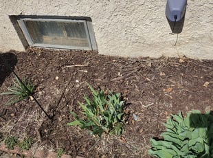 Weeding by Tim Birch for Laraine H. in Omaha, NE