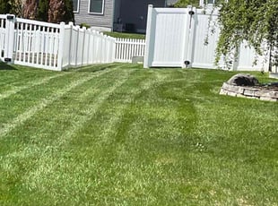 Donna W.'s Lawn Maintenance service result