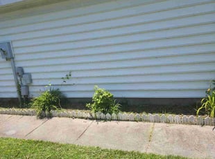 Weeding by Larry Whitaker for Partha S. in Virginia Beach, VA