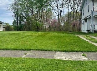 Zakiya M.'s Lawn Mowing Service service result