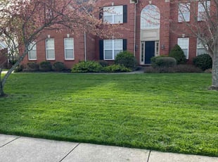 Patti G.'s Lawn Service service result