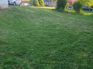 Josh C.'s Grass Cutting service result