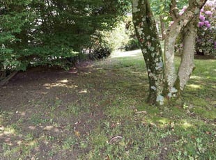 Leaf Removal by Andrew White for TJ H. in Pitman, NJ