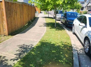 Kim L.'s Lawn Care service result