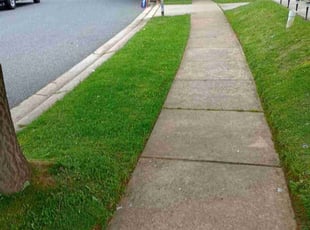 Mary B.'s Lawn Care service result