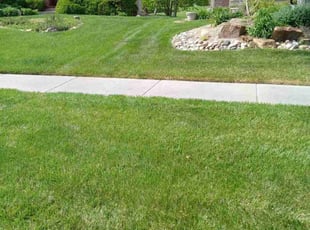 Megan J.'s Grass Cutting service result