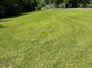 Kent T.'s Lawn Service service result