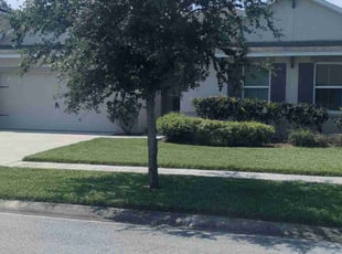 Weeding by Mike Diaz for Jannette G. in Orlando, FL