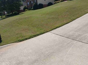 Emilie P.'s Lawn Maintenance service result