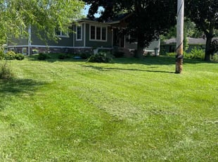 Robin H.'s Lawn Care service result