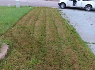 Cleanups by Vincent Paniagua for Terrance D. in Austin, TX