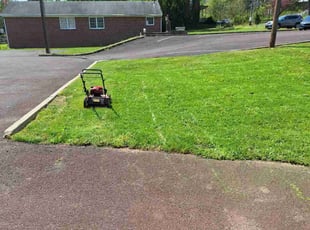 Maria L.'s Lawn Service service result