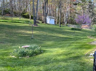 Pat C.'s Yard Cutting service result