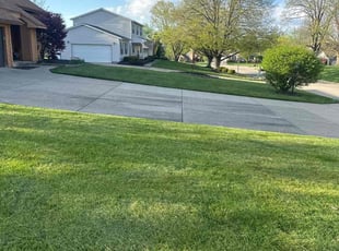Dwayne M.'s Yard Cutting service result