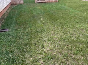 Fran B.'s Yard Cutting service result