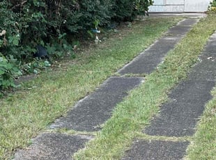 Bush Trimming by Travis Frederickson for Michael K. in Pensacola, FL