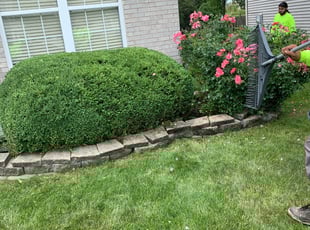 Bush Trimming by Jorge Yanez for Precesa B. in Romeoville, IL
