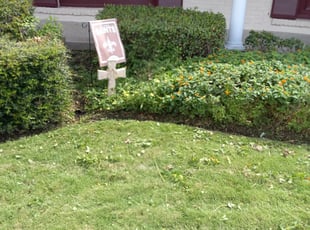 Bush Trimming by Gary Allen for Mike J. in New Orleans, LA