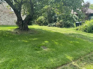 Annette B.'s Lawn Service service result