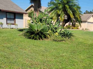Sam C.'s Lawn Maintenance service result
