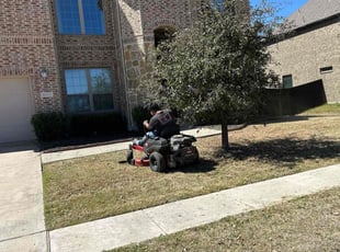 Dominique A.'s Lawn Mowing service result
