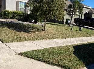 Tiffani w.'s Lawn Service service result