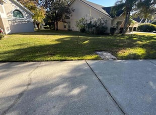 Sean Y.'s Lawn Maintenance service result