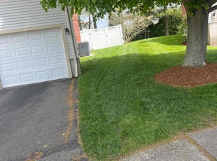 Jay T.'s Lawn Mowing service result