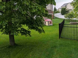 Taylor B.'s Lawn Mowing service result