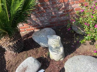 Sue H.'s Flower Bed Weeding service result