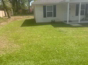 Jean S.'s Lawn Mowing Service service result