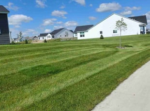 Michael F.'s Lawn Service service result