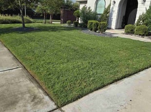 Laqunda W.'s Lawn Mowing Service service result