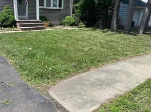 Nancy H.'s Lawn Maintenance service result