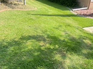 Sheri M.'s Lawn Service service result