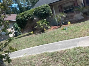 Bush Trimming by Bradly Reil for Mia J. in Jacksonville, FL