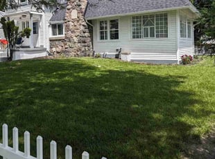 Colleen B.'s Yard Cutting service result
