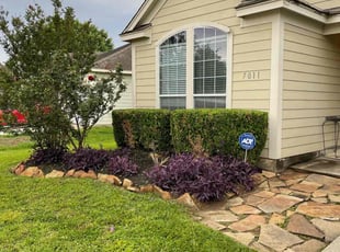 Bush Trimming by Abraham Flores for alisa f. in Richmond, TX