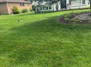 Susan H.'s Lawn Service service result