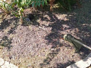 Weeding by Donovan Perry for Roland . in Houston, TX
