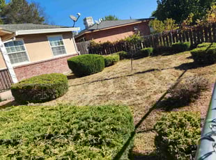 Bush Trimming by Juan Rodriguez for Ryan B. in North Highlands, CA