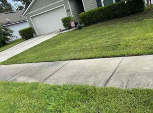 Jerry W.'s Bush Trimming service result