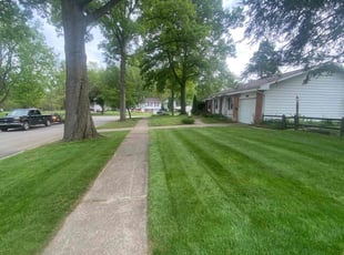 Chad F.'s Lawn Care service result