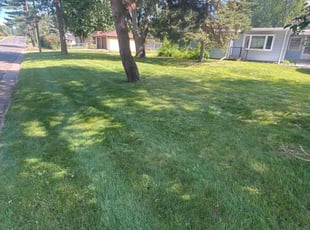 Tom T.'s Grass Cutting service result