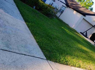 Don H.'s Lawn Care service result