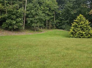 Megan W.'s Lawn Mowing service result