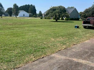 Megan B.'s Lawn Care service result