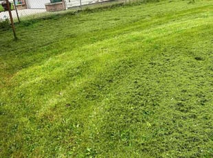 Ronald B.'s Lawn Maintenance service result