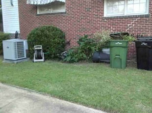 Kenneth s.'s Bush Trimming service result